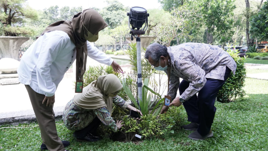 Proses penanaman salah satu jenis anggrek Semeru dari Taman Nasional Bromo Tengger Semeru (TNBTS) di halaman Gedung Rektorat ITS